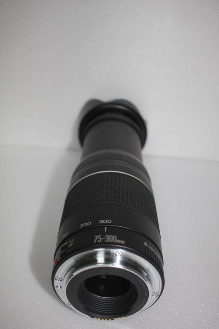 望遠レンズ/デジタル一眼レフカメラ/Canon EF 75-300㎜ III