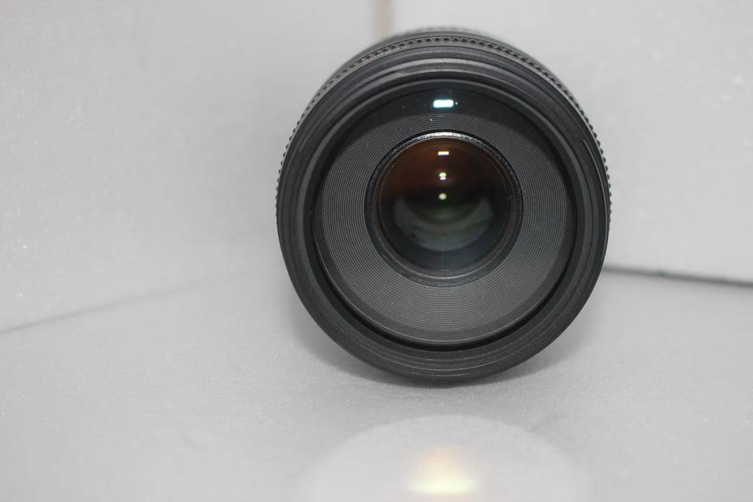 望遠レンズ/デジタル一眼レフカメラ/Canon EF 75-300㎜ III