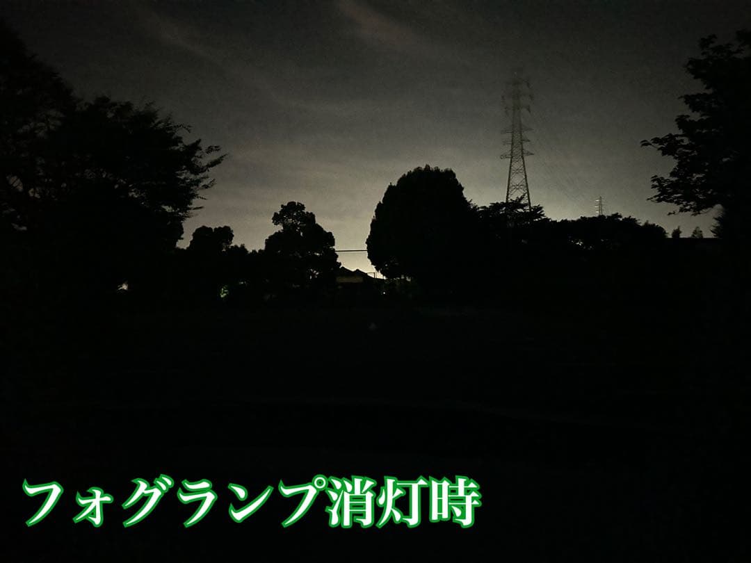 烈光33800lm L1B用　ライム ホワイト フォグランプ2色切替