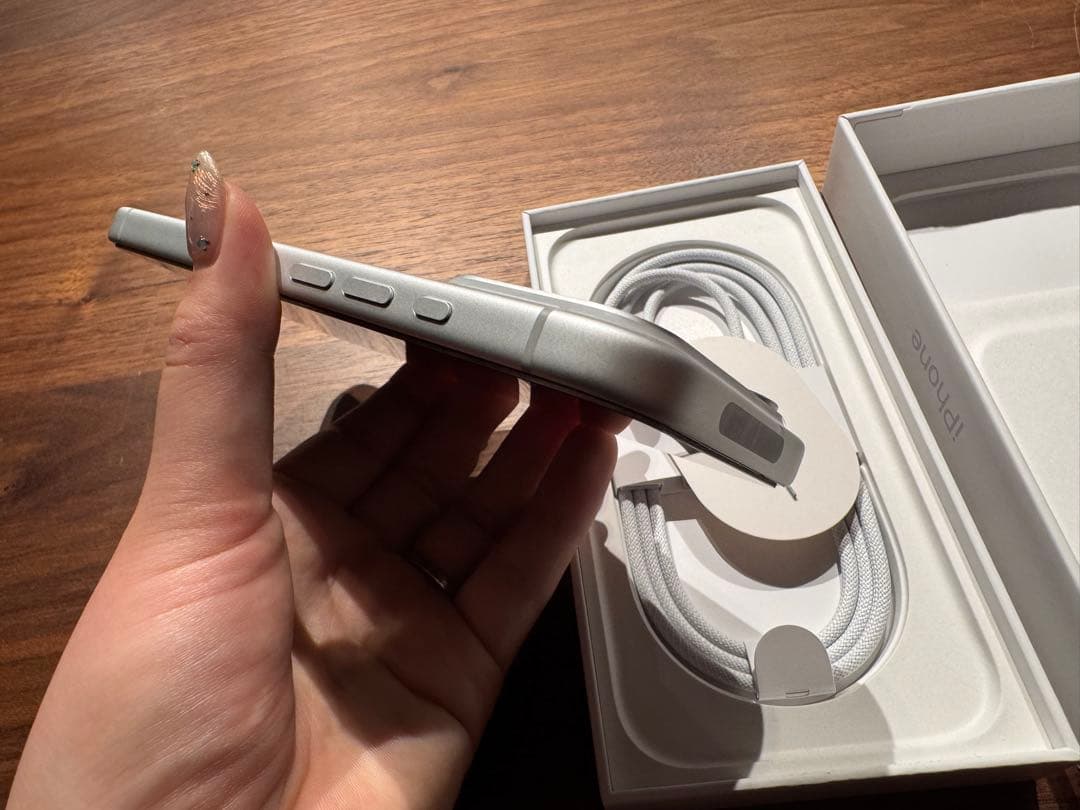 Apple iPhone17Pro シルバー