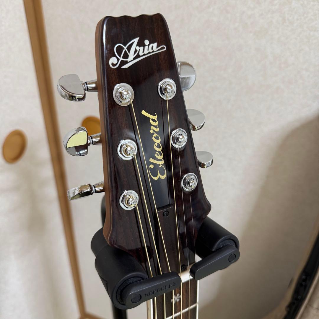 Aria Pro II APE-100 TS エレアコ ロック式ペグ交換済