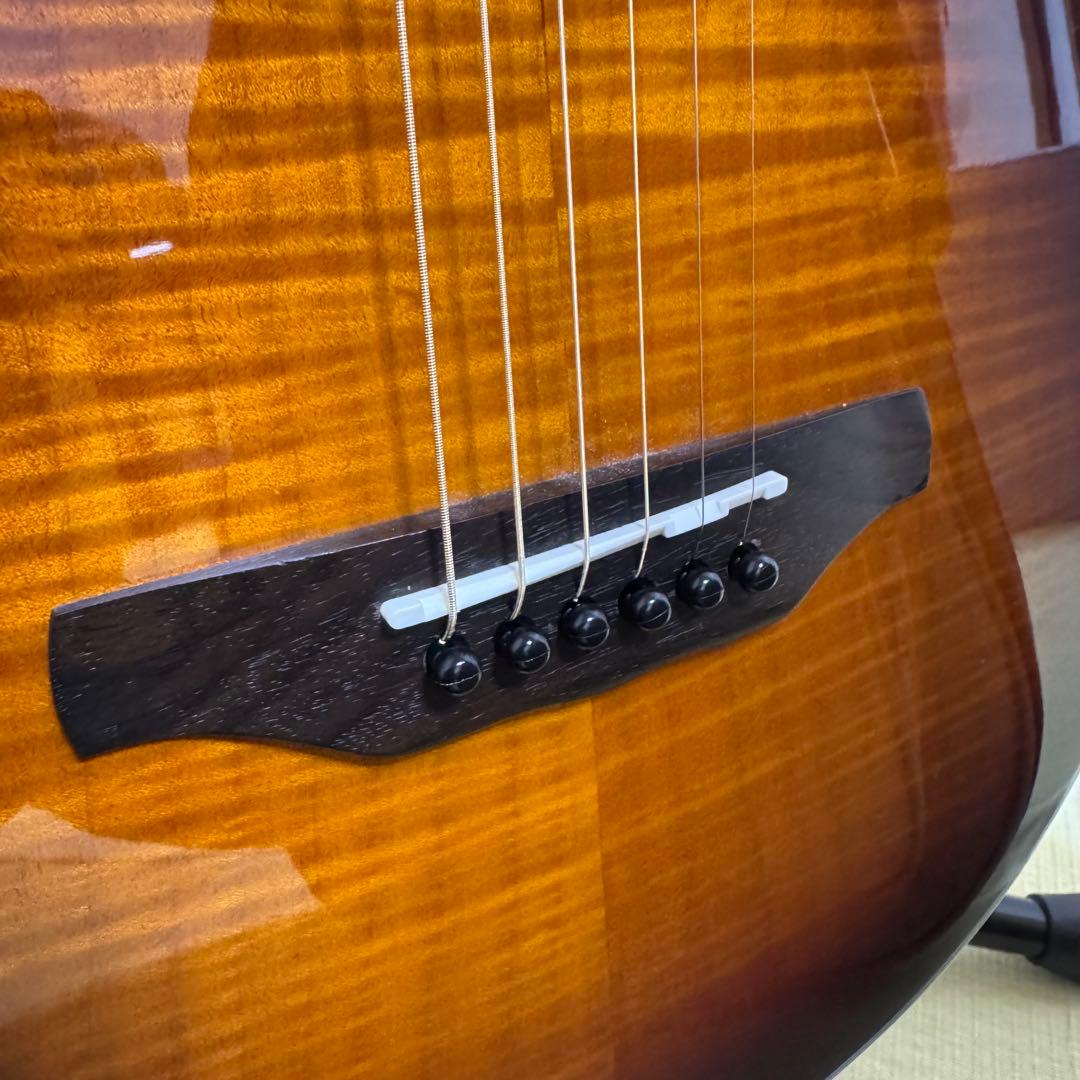 Aria Pro II APE-100 TS エレアコ ロック式ペグ交換済