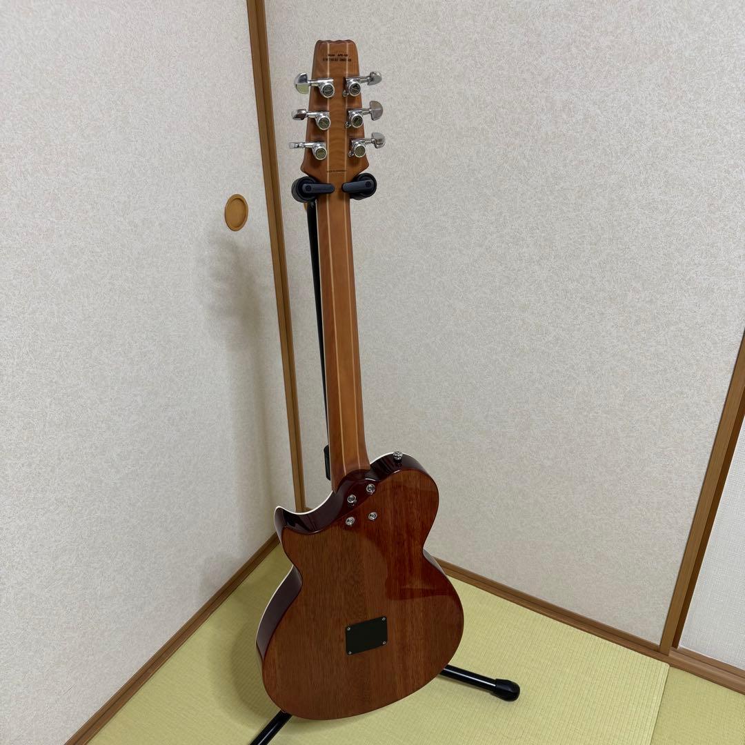 Aria Pro II APE-100 TS エレアコ ロック式ペグ交換済