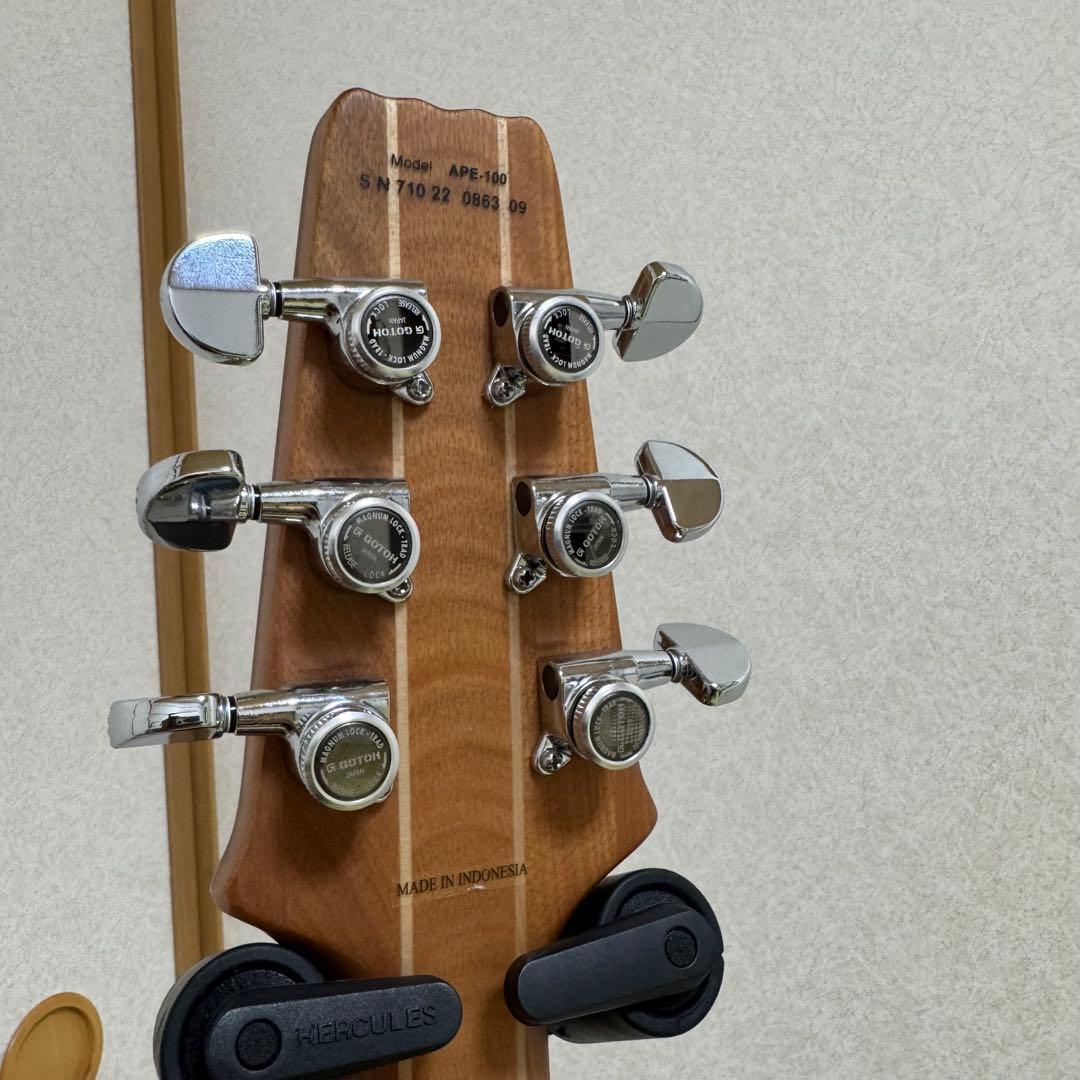 Aria Pro II APE-100 TS エレアコ ロック式ペグ交換済