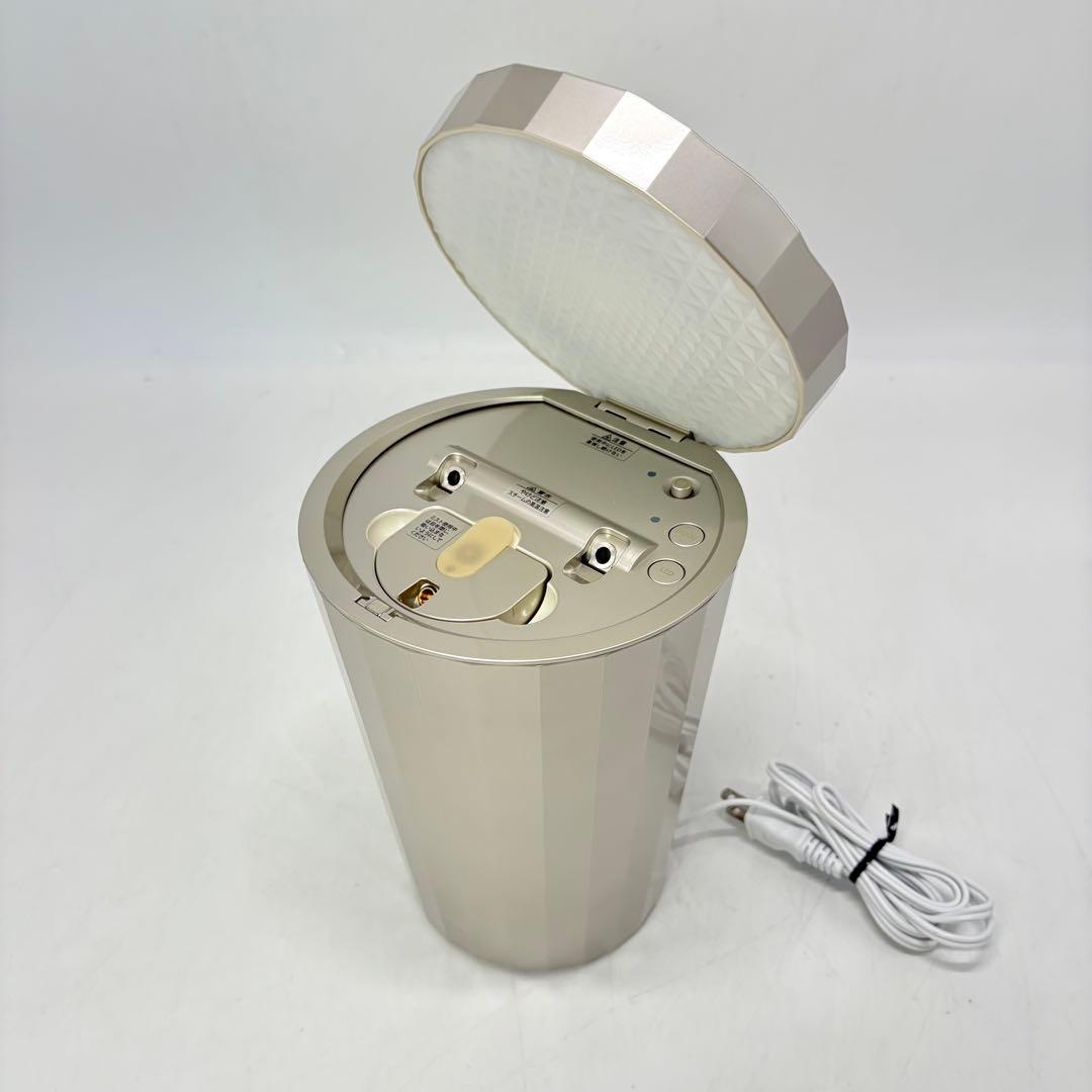 【美品・付属品完備】YA-MAN ヤーマン フォトスチーマー IS-101N