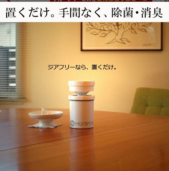 ジアフリー