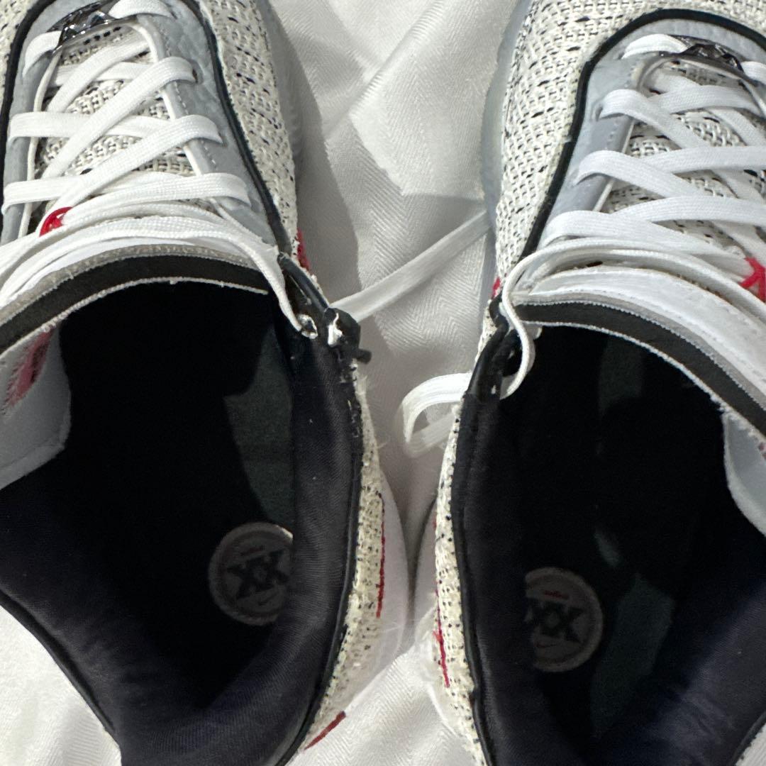 NIKE LEBRON 20 EP サイズ30cm