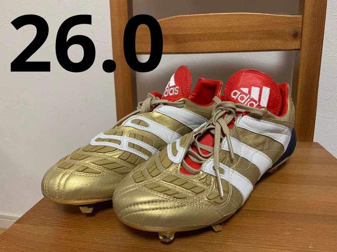 プレデターアクセレレイター　PredatorAccelerator　26cm新品