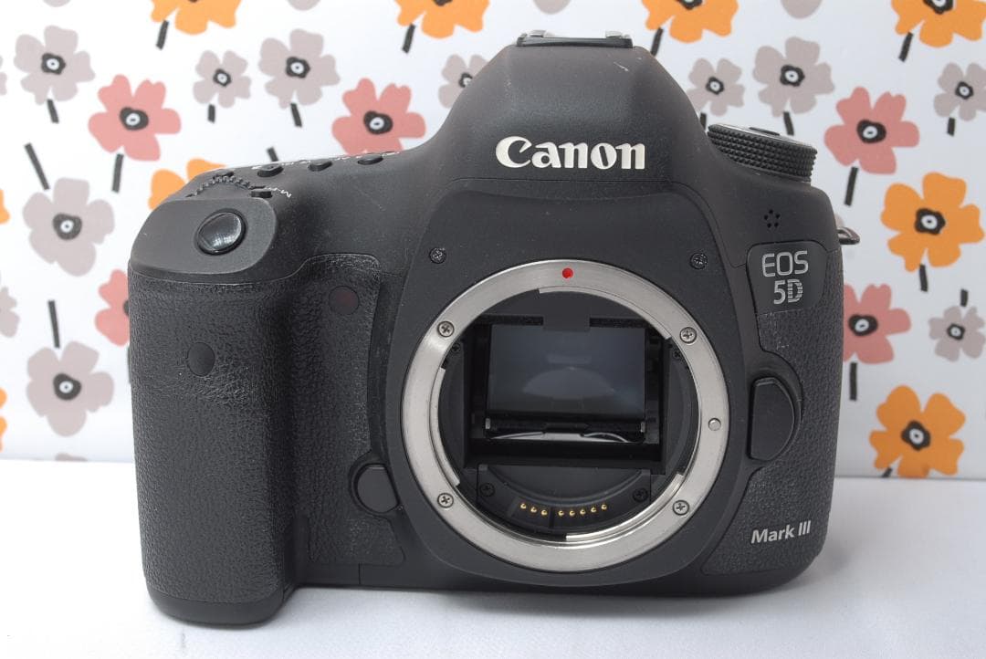 ❤Canon EOS 5D MarkⅢ❤美品❤超望遠レンズ❤カメラバッグ付き❤