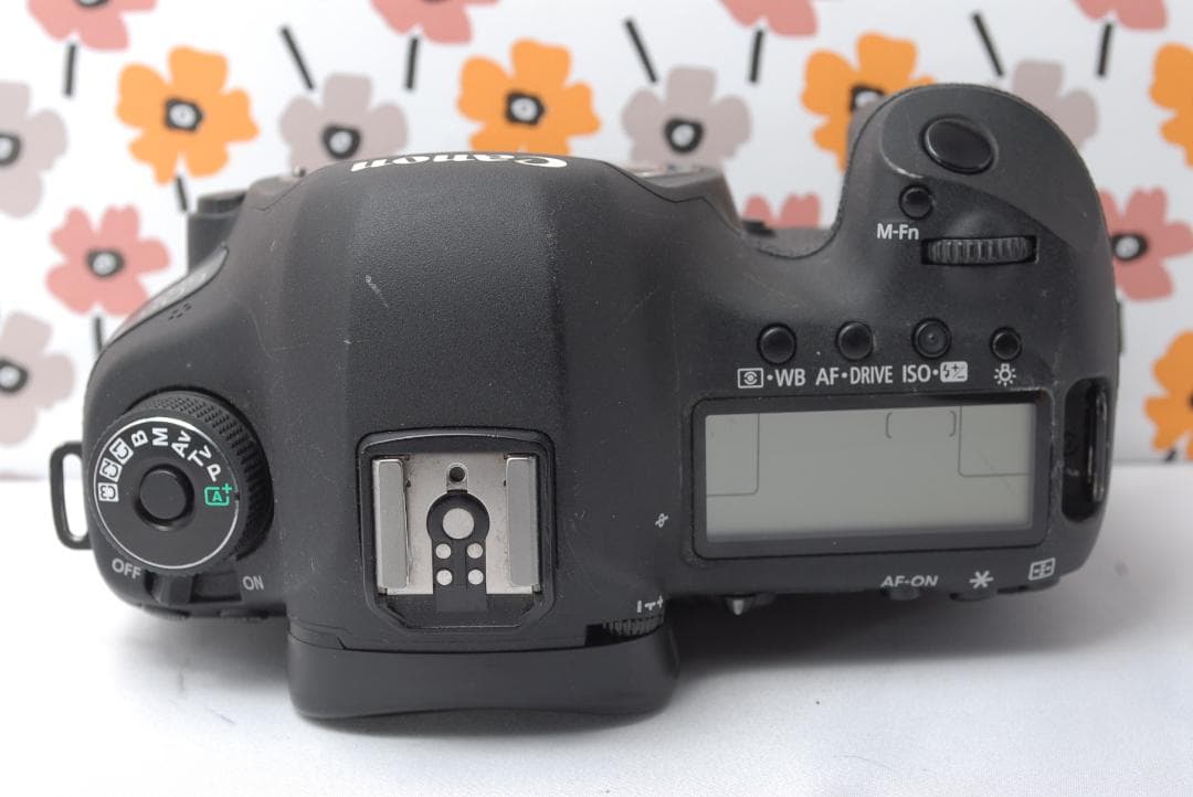 ❤Canon EOS 5D MarkⅢ❤美品❤超望遠レンズ❤カメラバッグ付き❤