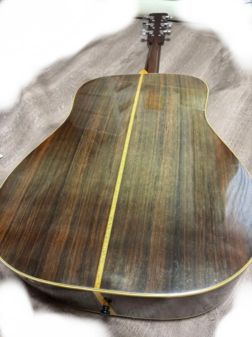 Morris & Co. アコースティックギター W 50 H