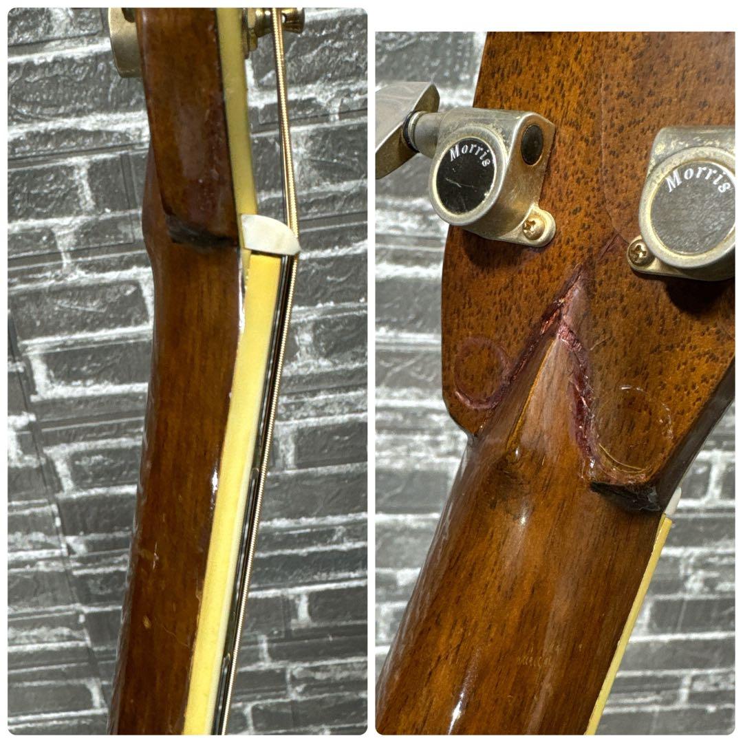 MORRIS TF-801 ハカランダ アコースティックギター
