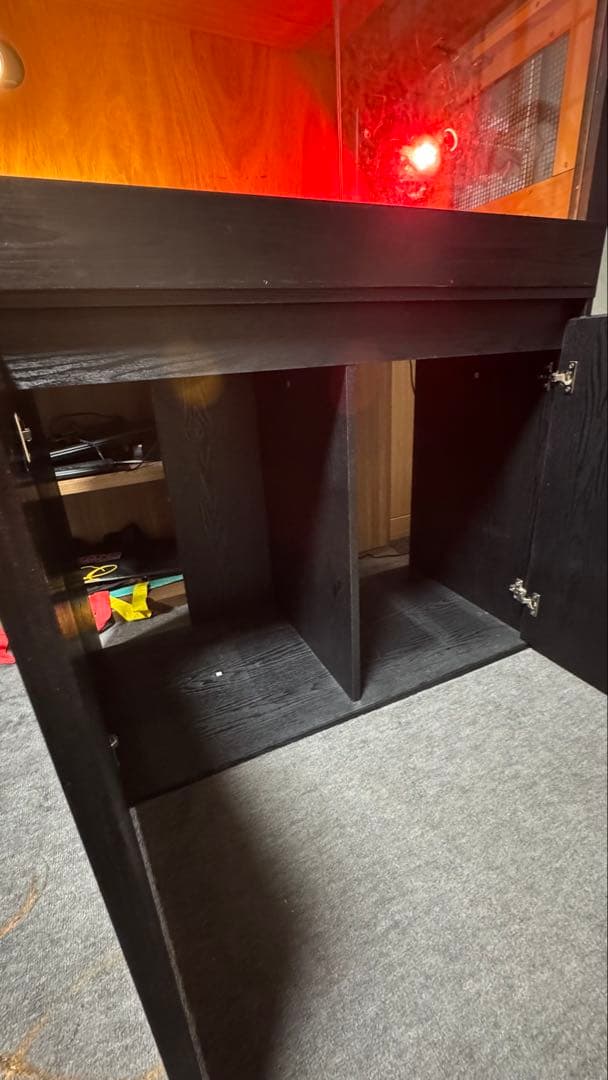 しんちゃん
