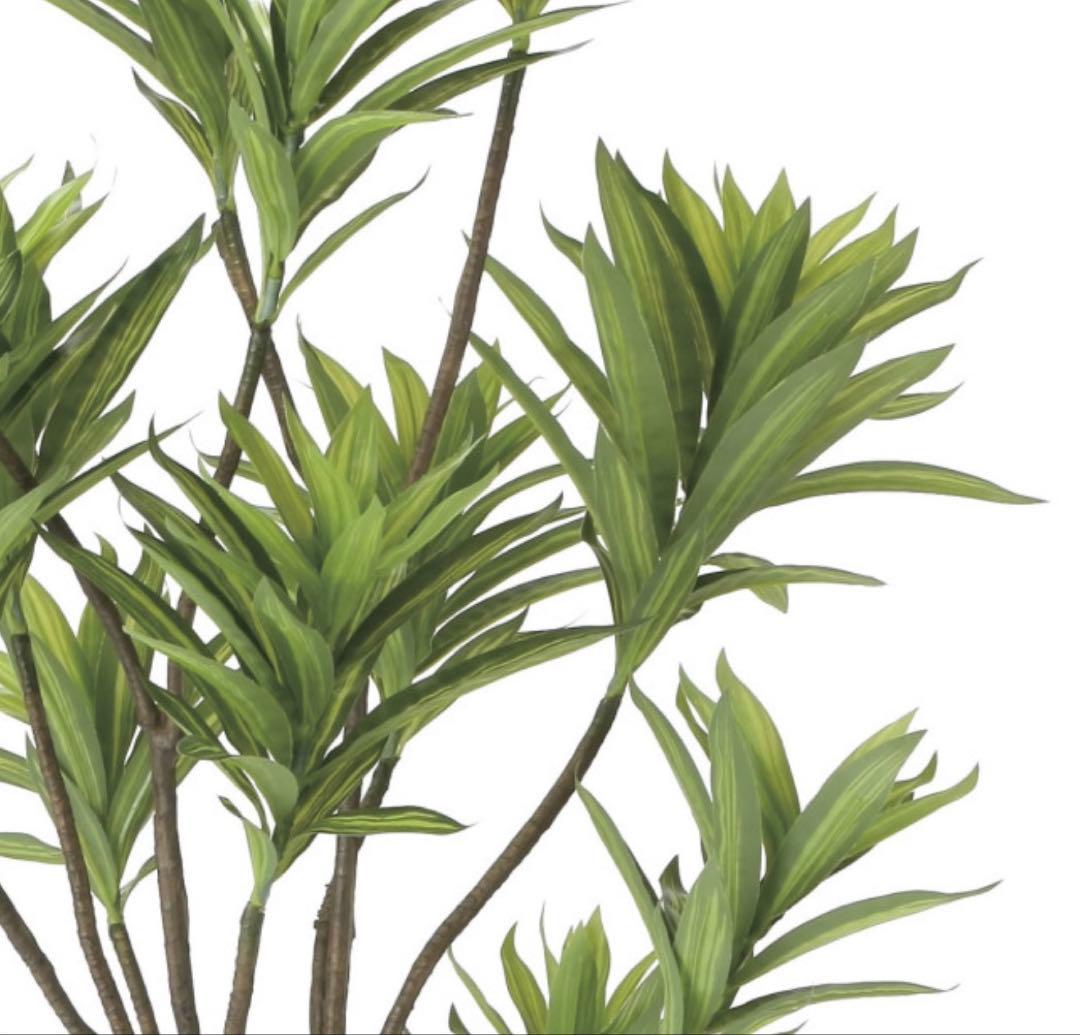 光触媒　人工観葉植物　ウォールグリーン　フレッシュドラセナ1.8