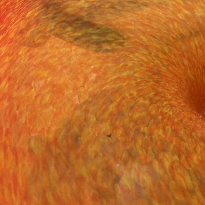 お値下げ中 インテリア　ガラス　工芸品