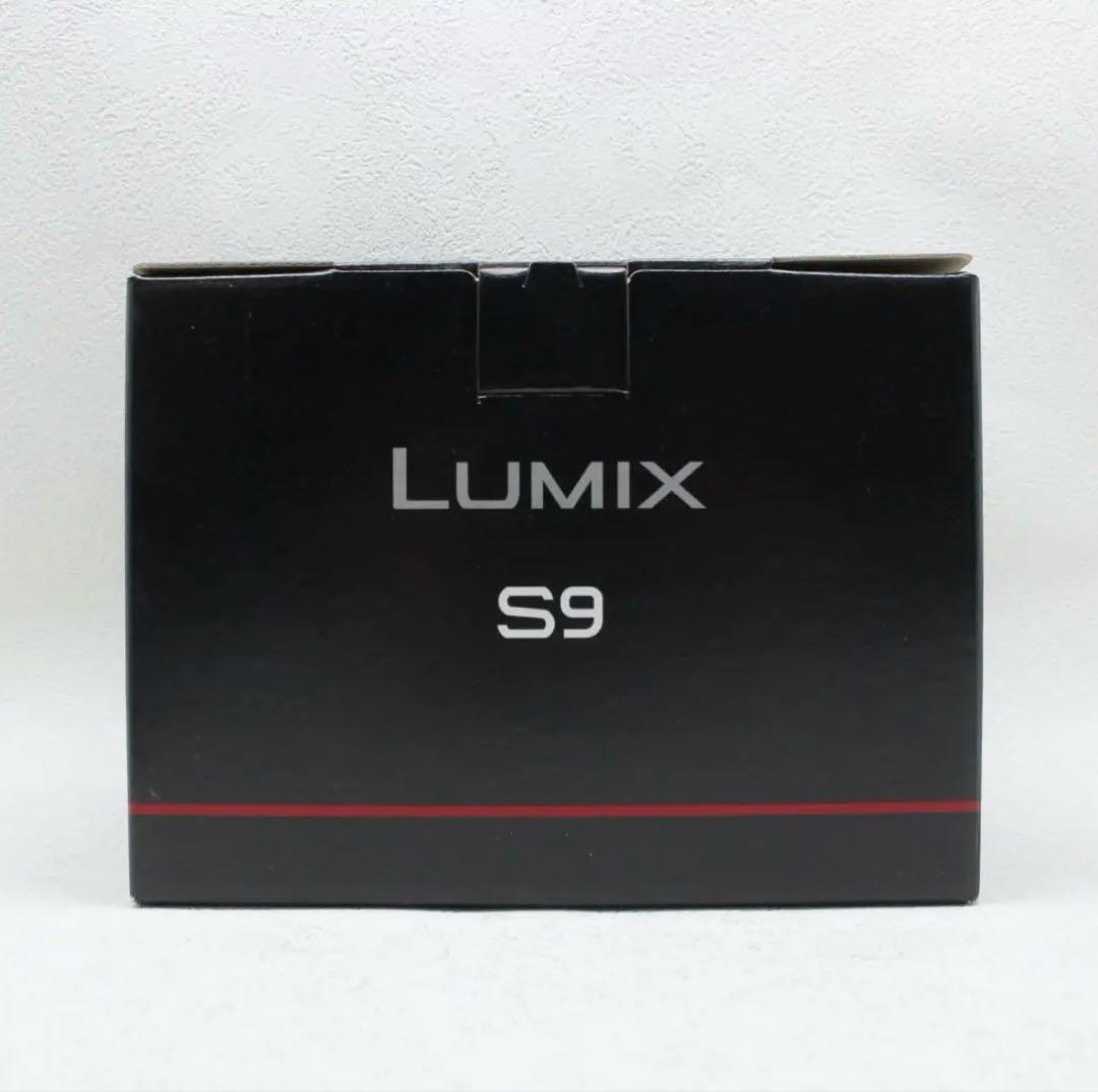 パナソニック LUMIX S9 ボディ ダークシルバー