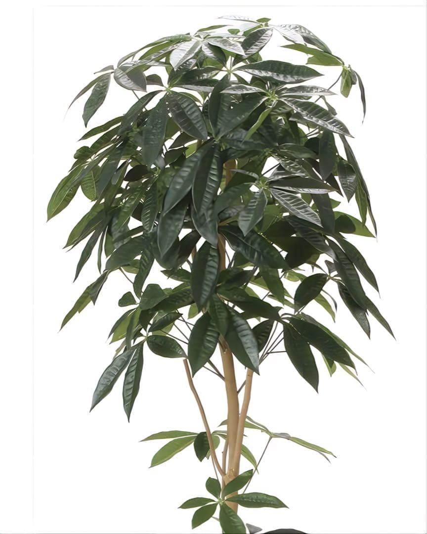 光触媒　人工観葉植物　ウォールグリーン　フェイクグリーン　デザインパキラ1.6m