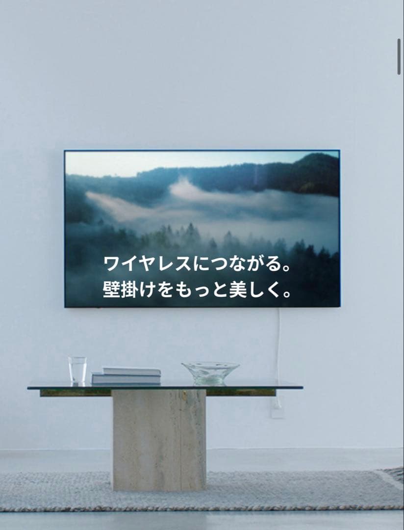 VIERA 55インチ 4K有機ELテレビ TH-55LW1L