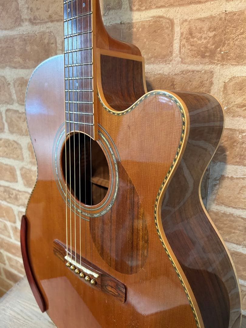 GREG BENNETT design SAMICHエレアコ(OM-15CE)