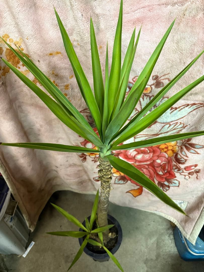 k.com様用①