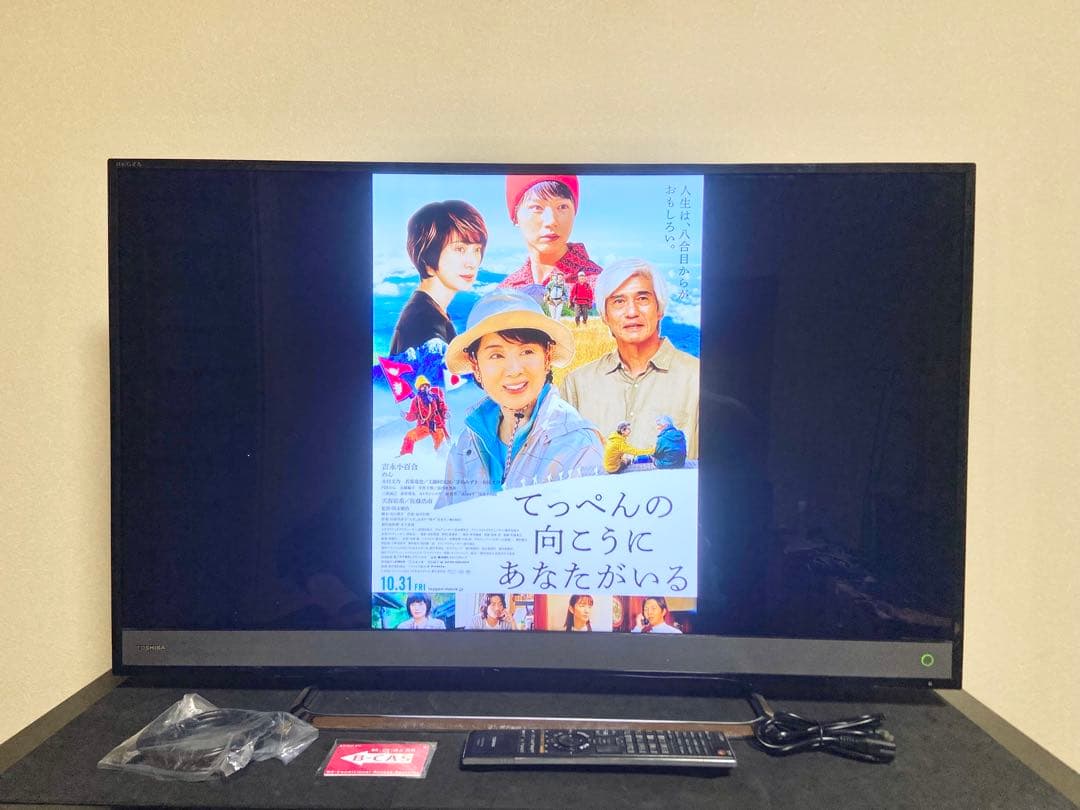 【今だけ優待価格】東芝 REGZA 40V型4K・3チューナーW録(外付HDD)