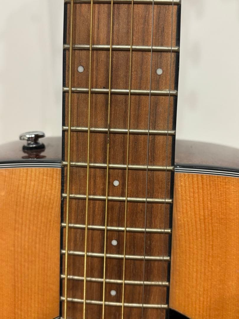 Fender アコースティックギター ギターケース、ギタースタンド付き