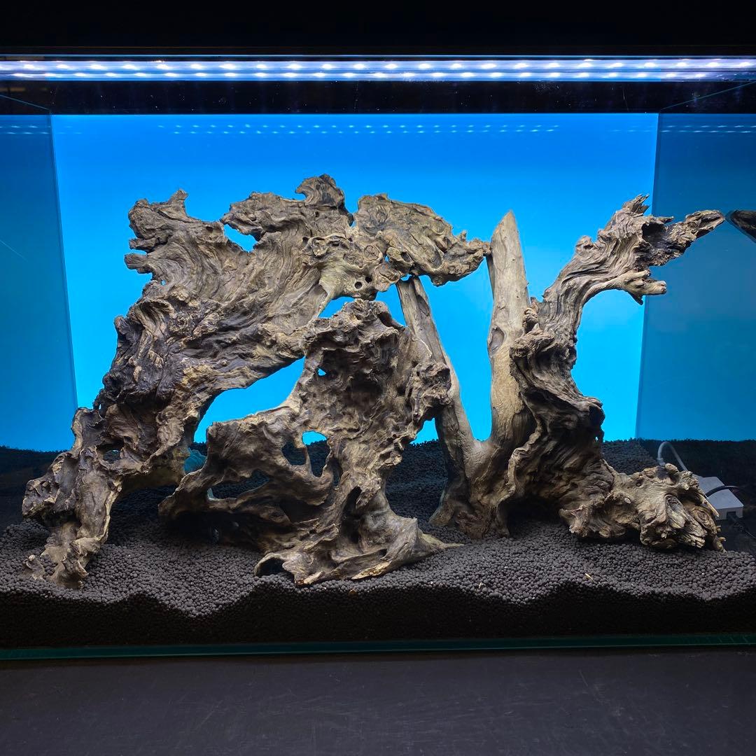 MJW-6614 ジンジャーウッド　レイアウトセット　天然流木　アクアリウム