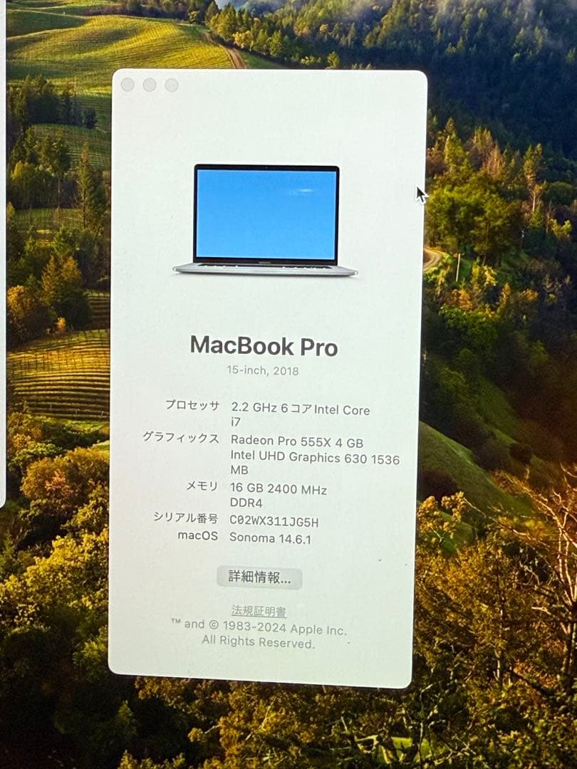 MacBook Pro 2018 15インチ スペースグレー 本体