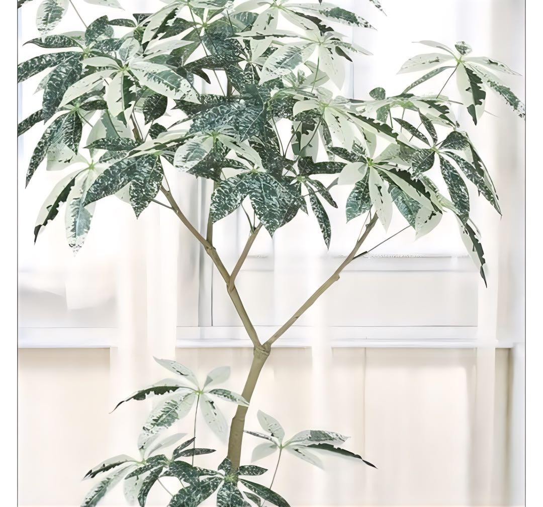 光触媒　人工観葉植物　フェイクグリーン　パキラミルキーウェイ150FST