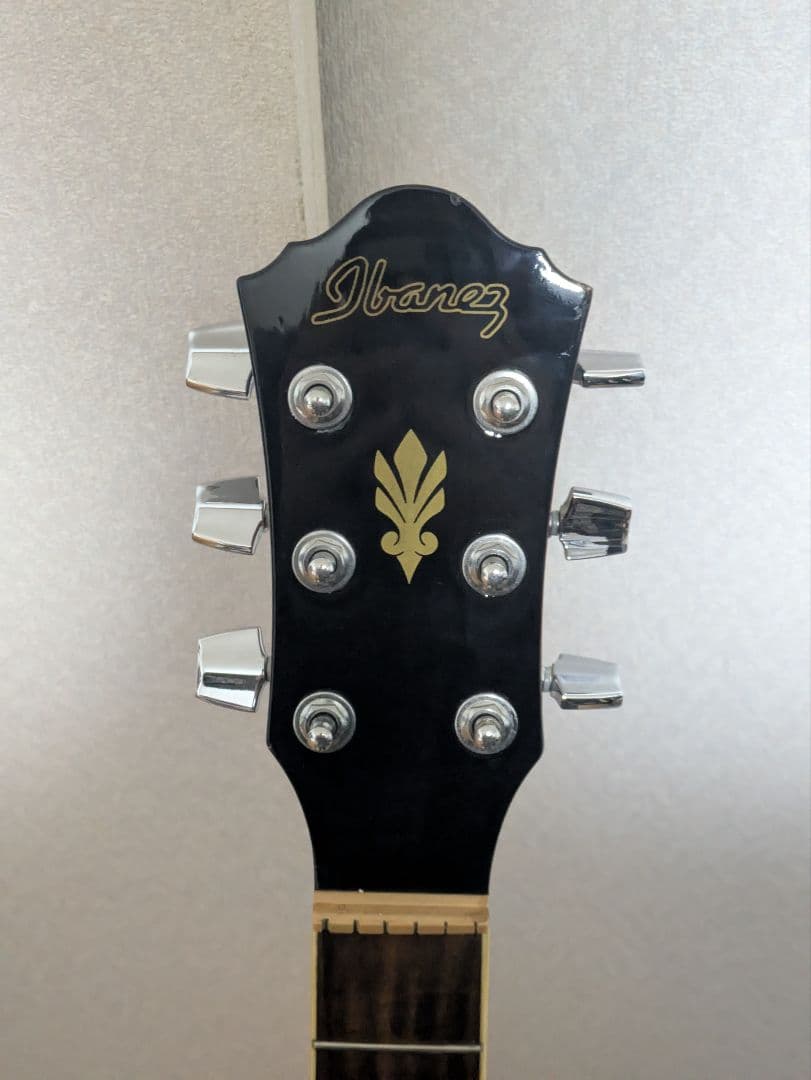 Ibanezエレアコ