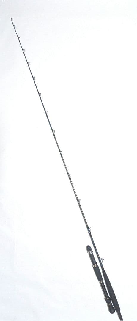Daiwa リーディングX ゴウマン 240H