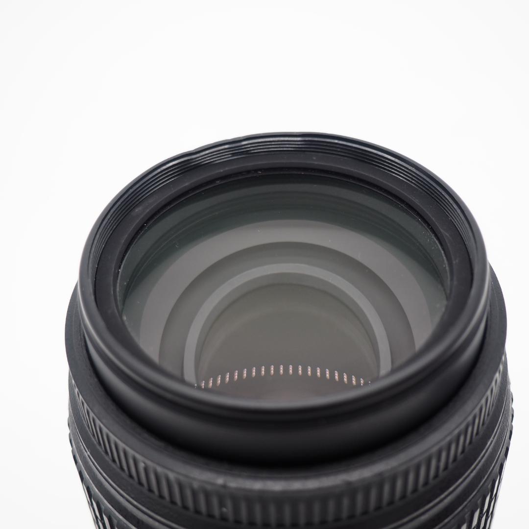 レンズ(ズーム) Nikon AF-S Nikkor 55-300mm ED DX