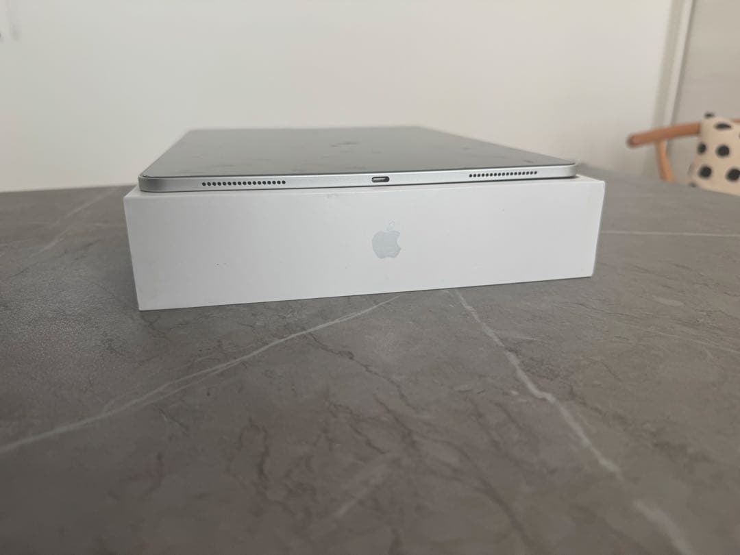 ともiPad Pro 12.9インチ第4世代 256GB シルバー