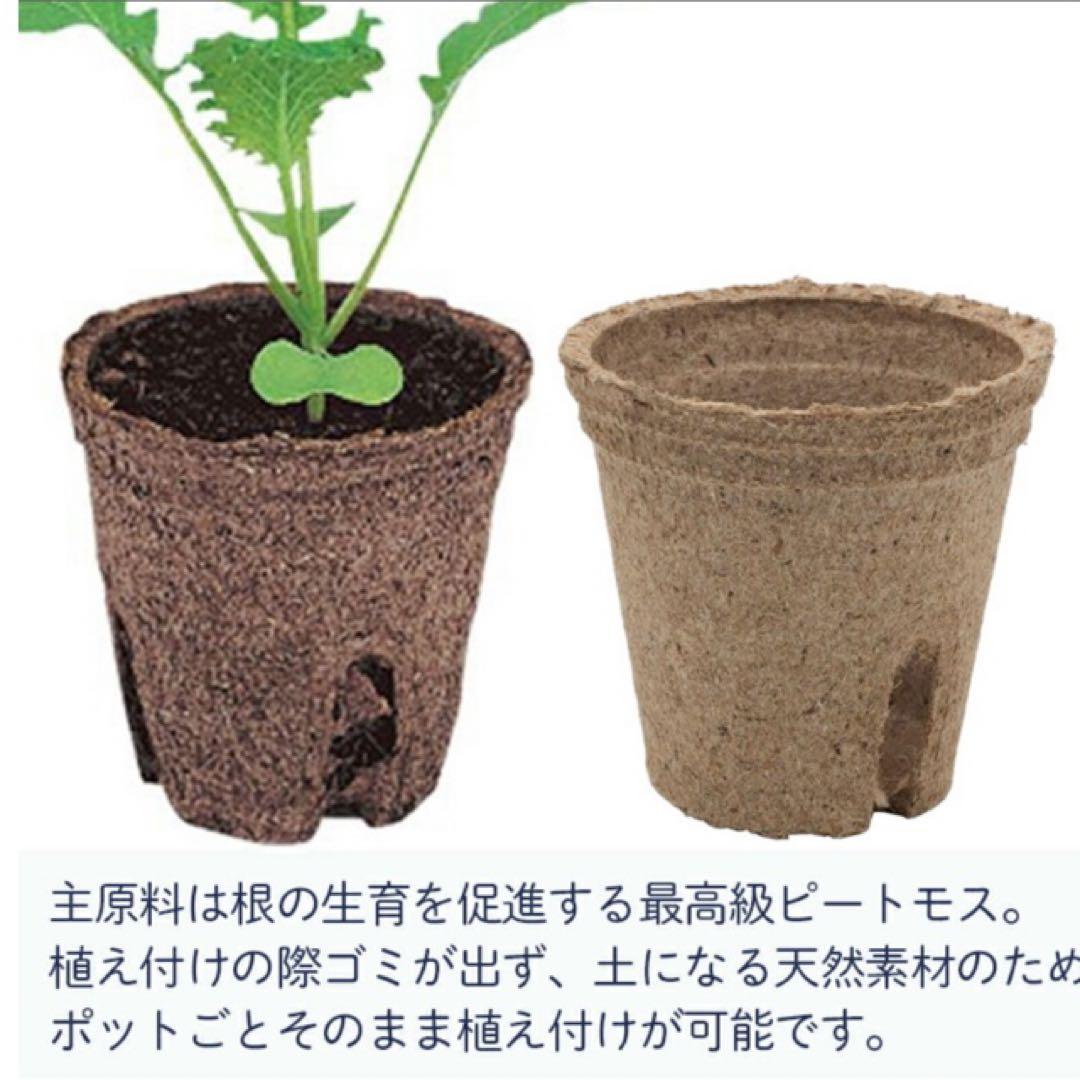 ジフィーポット 丸型5.5cm 約3400個入り スリット入り　そのまま植えれる
