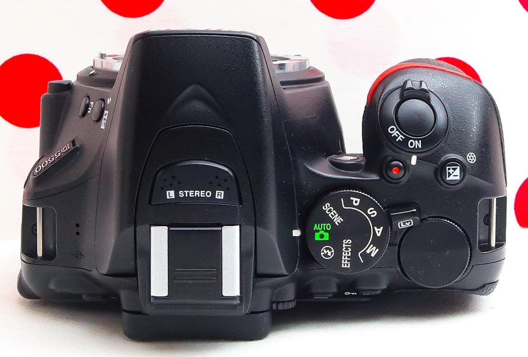 ニコン Nikon D5500❤スマホ転送付き❤超高画質2416万画素＆高性能！