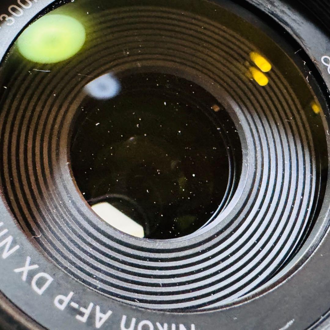 Nikon AF-P NIKKOR 70-300mm VR レンズ
