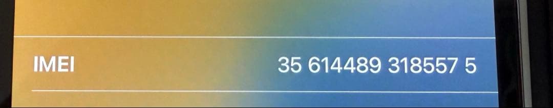 スマートフォン本体 iPhone13Pro 256GB