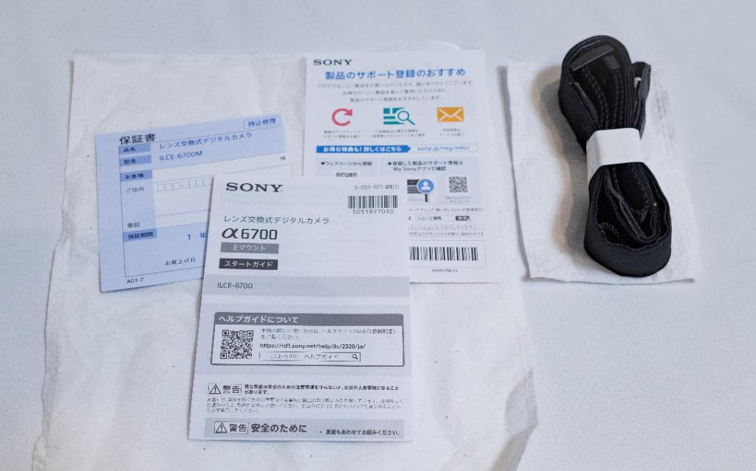 【極上美品】ソニー α6700 ボディ ILCE-6700