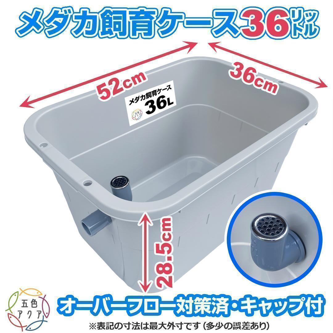 メダカ飼育ケース 36㍑x5個（4色あり） オーバーフロー めだか飼育容器 金魚