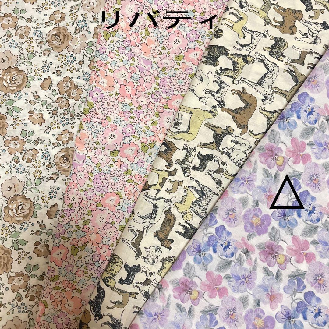 とんページピコタンpmサイズバッグインバッグ