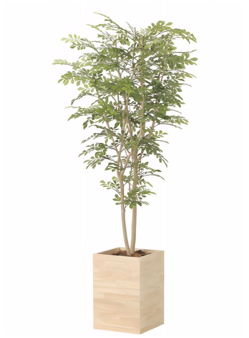 光触媒　人工観葉植物　フェイクグリーン　ウッドボックストネリコミックス1.8m