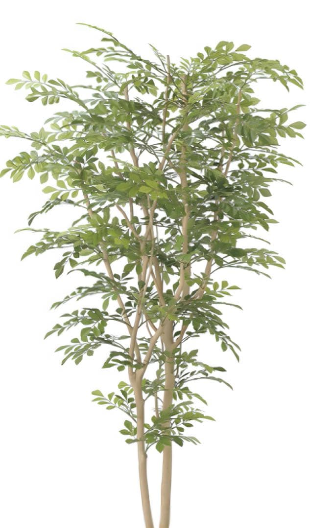 光触媒　人工観葉植物　フェイクグリーン　ウッドボックストネリコミックス1.8m