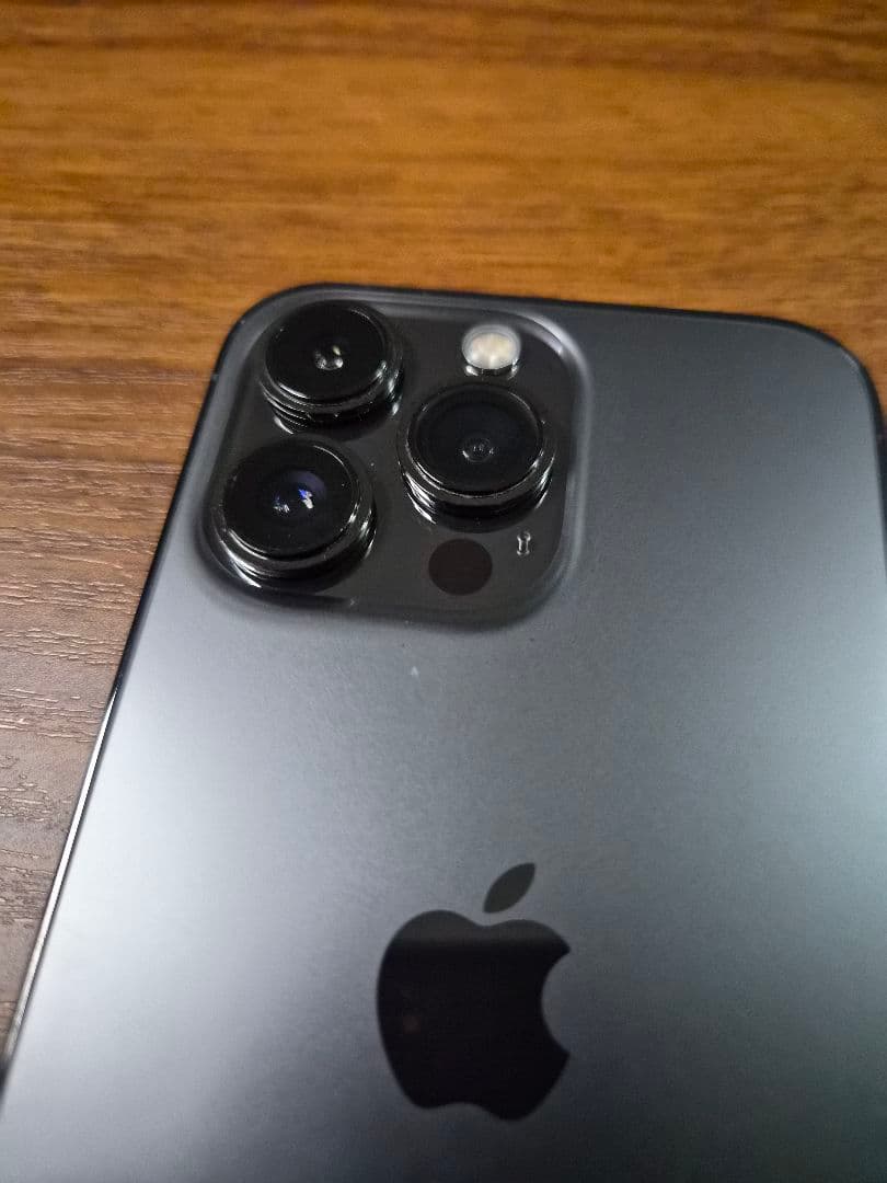 Apple iPhone 13 Pro グラファイト 256GB SIM フリー