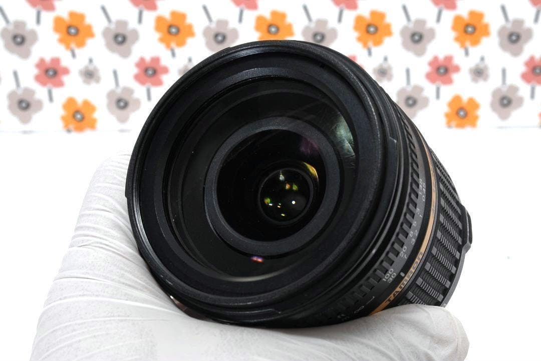 【返品保証】ニコンFマウント❤18-250mm ❤️高倍率望遠レンズ❤️タムロン