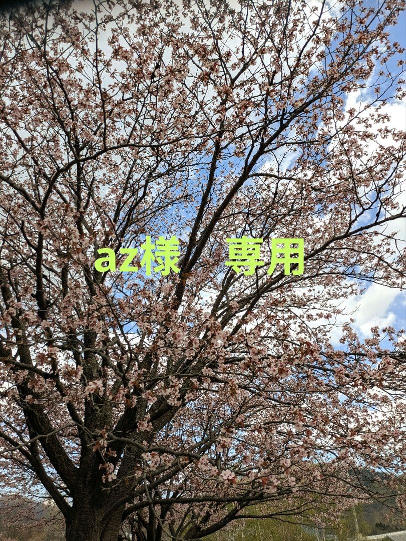 az　バードアスレチック　バードトイ
