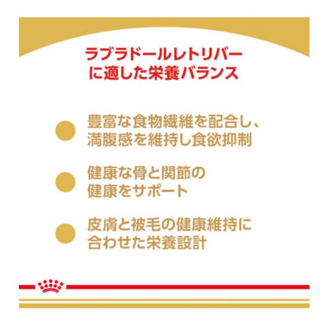 のんちゃん