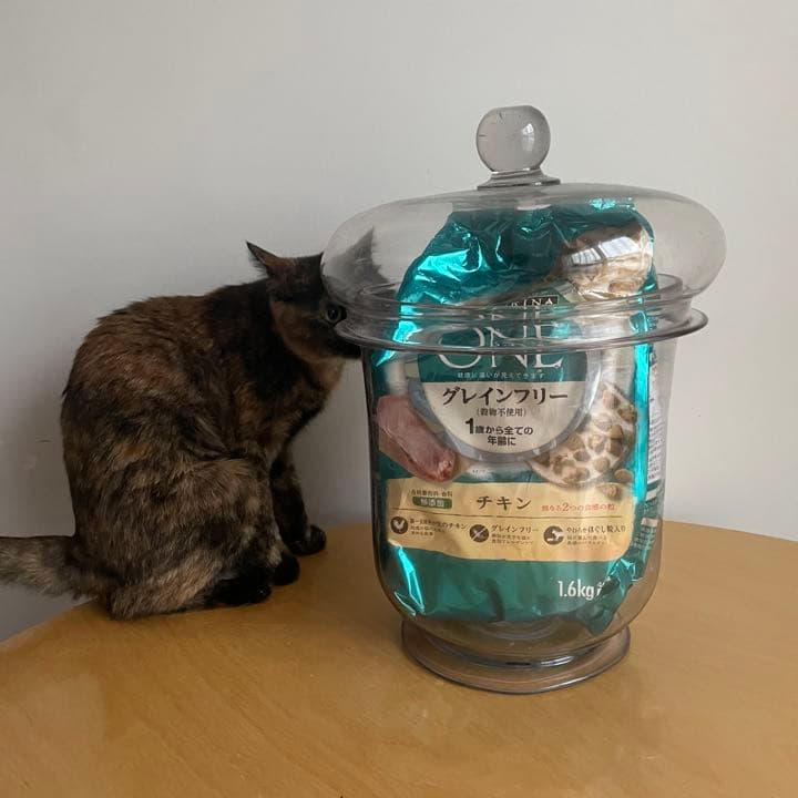 ガラスの容器
