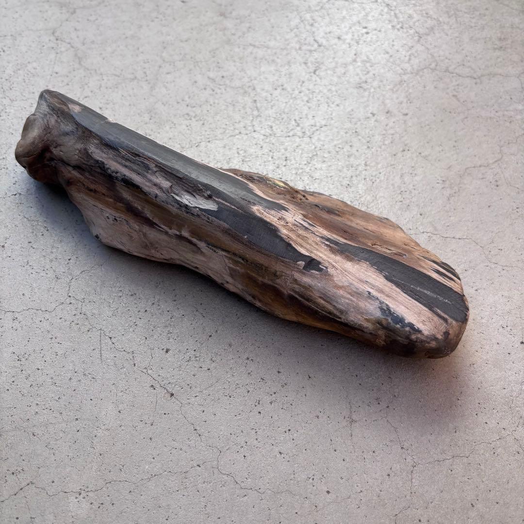 【週末限定SALE】珪化木（木の化石） ペトリファイドウッド