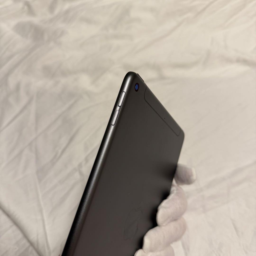 iPad mini 第5世代 256GB Wi-Fi＋Cellular スペース