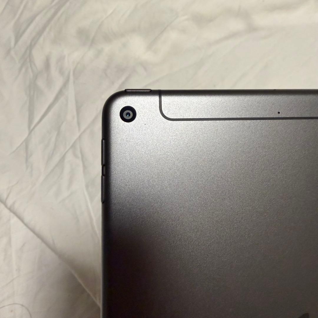 iPad mini 第5世代 256GB Wi-Fi＋Cellular スペース